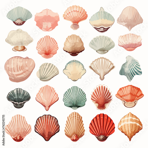 Sea Shells Clipart clipart isolated on white background