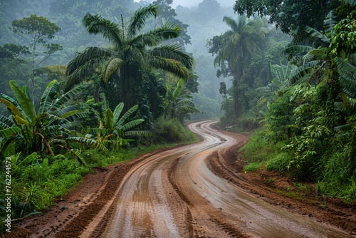 road in the jungle