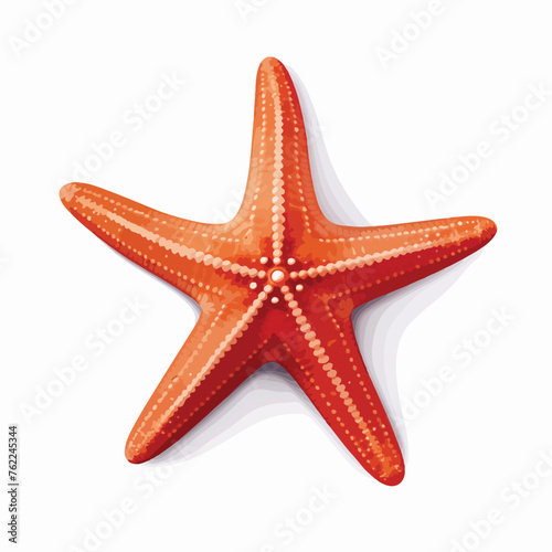 Starfish Clipart clipart isolated on white background