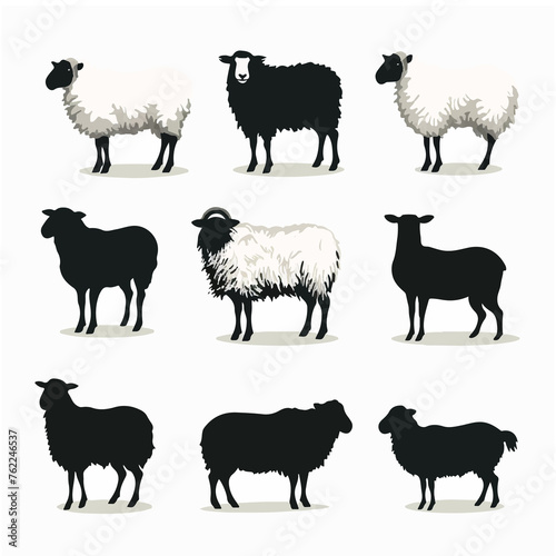 Silhouette sheep set isolated. Collection of sheeps in different poses. Black and white illustration. Good for design element, typography, decorative sticker