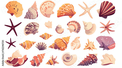 Beautiful sea shells flat vector isolated on white background