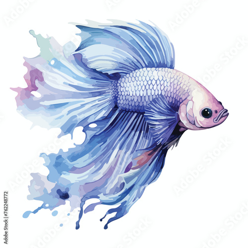Water Color Betta Fish clipart isolated on white background © Aina