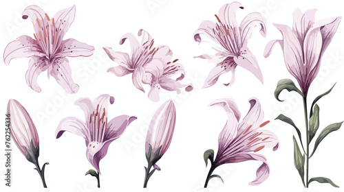 Drawing vector graphics with floral pattern for design