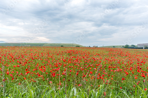 Montichiari, brecia, lombardia, italy