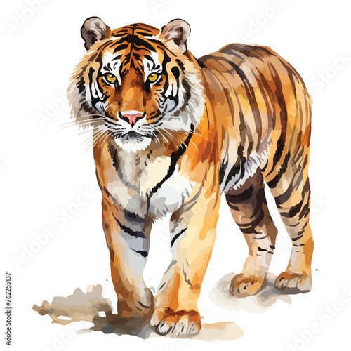 Watercolor Tiger clipart isolated on white background
