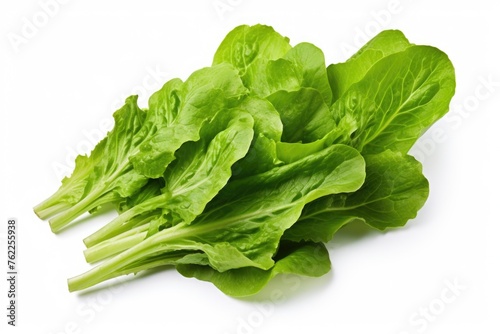 Set green salad leaf isolated