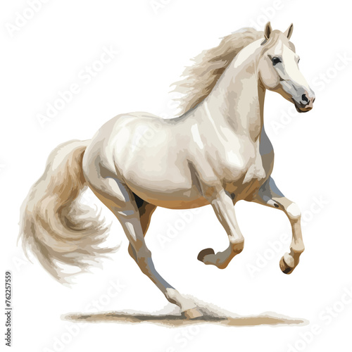 White Horse clipart