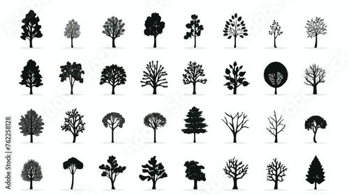 Flat vector icon design collection tree silhouette photo