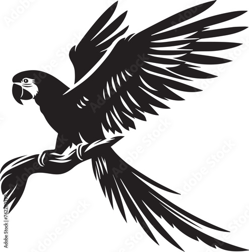 Black silhouettes of parrot showcasing their distinct poses and features
