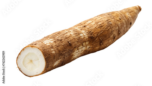 Cassava root isolated on Transparent background.