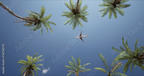 Long-haul passenger plane flying over a resort with palm trees on a sunny day. Bottom view. The concept of an exotic vacation.