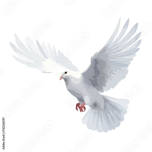 White Dove Clipart isolated on white background