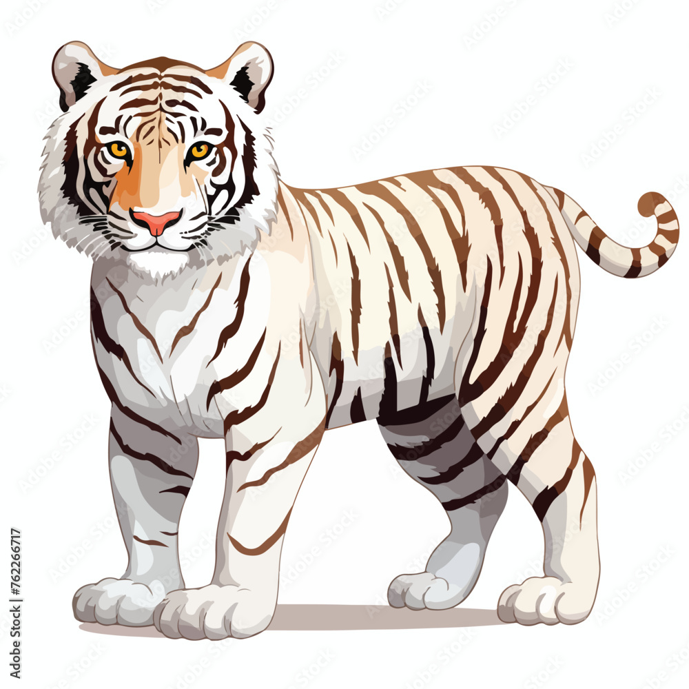 White Tiger Clipart isolated on white background
