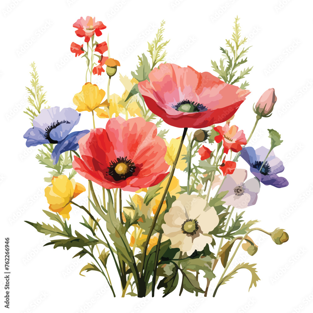 Wildflowers Clipart isolated on white background