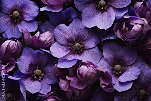 Stunning Purple flowers closeup. Blossom nature. Generate Ai © juliars