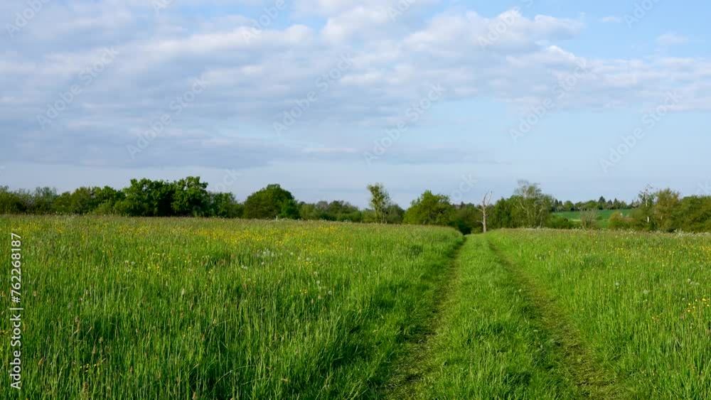 Beautiful nature. rural road among a field with green, lush grass, wildflowers and flowers. Sunny day, blue sky. Calm landscape. Slow wiring Beautiful nature. rural road among a field with green, lush grass, wildflowers and flowers. Sunny day, blue sky. Calm landscape. Slow wiring