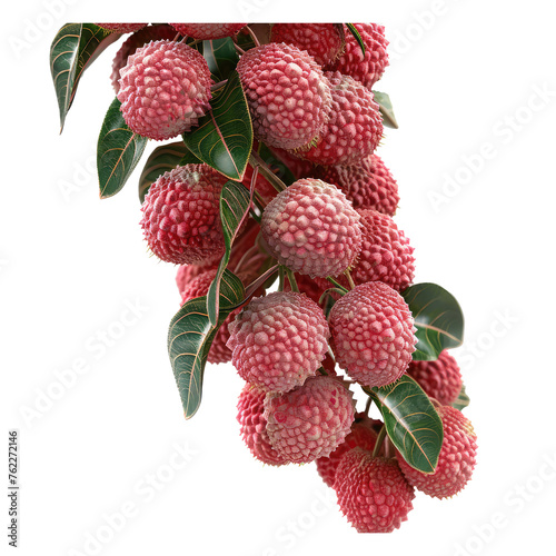 fruit, string of litchi isolated on transparent background
