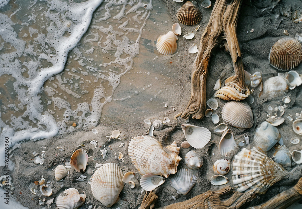 Background and texture photo of soft gentle waves washing up on a sandy shoreline with seashells and driftwood.