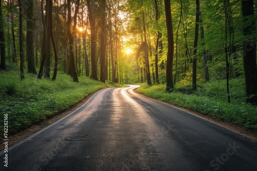 An asphalt road leading into the forest in the sunset rays in the thick of trees