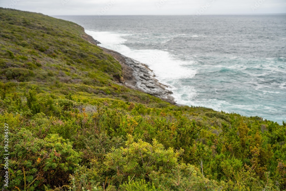 Woman hiking in the Tasmanian wilderness in the bush under the mountain and above the water camping in the wild with a backpack in Australia Woman hiking in the Tasmanian wilderness in the bush under the mountain and above the water camping in the wild with a backpack in Australia