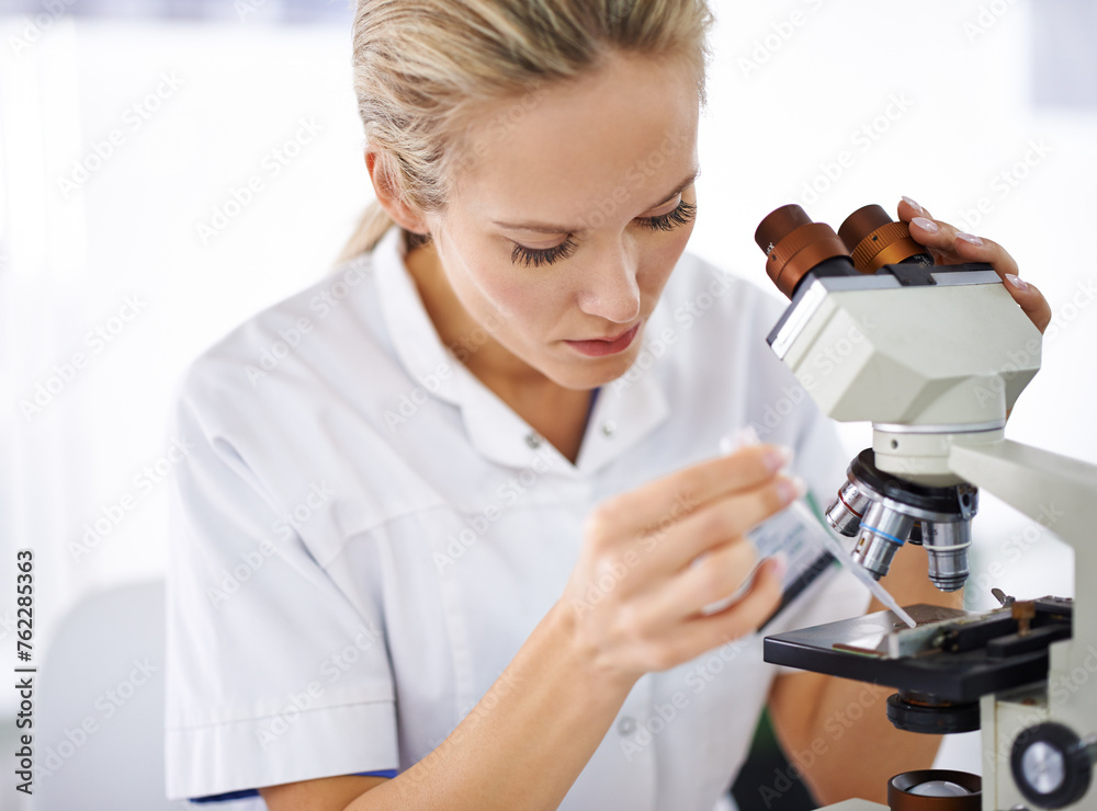 Petri dish, microscope or woman scientist in laboratory for research, medical analysis or test experiment. Solution, investigation or science expert with technology for future development or results Petri dish, microscope or woman scientist in laboratory for research, medical analysis or test experiment. Solution, investigation or science expert with technology for future development or results