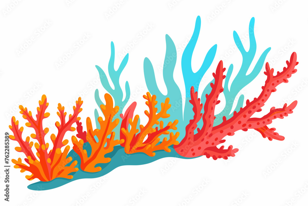 long coral vector illustration on  white background