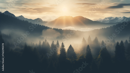 Magical View of the Evening Forest at Sunset Blanketed in Thick Mist, Conjuring a Sense of Fairy-tale Wonder and Mystery, Perfect for Fantasy Artwork and Atmospheric Landscapes photo