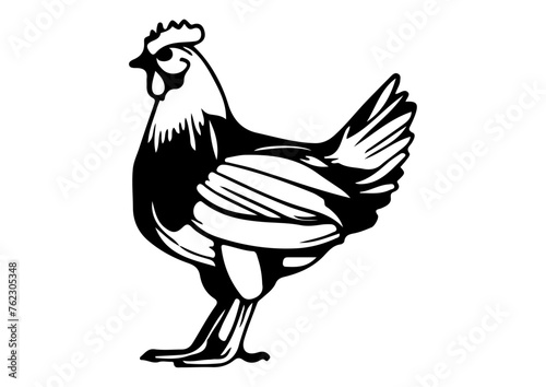 Chiken 04