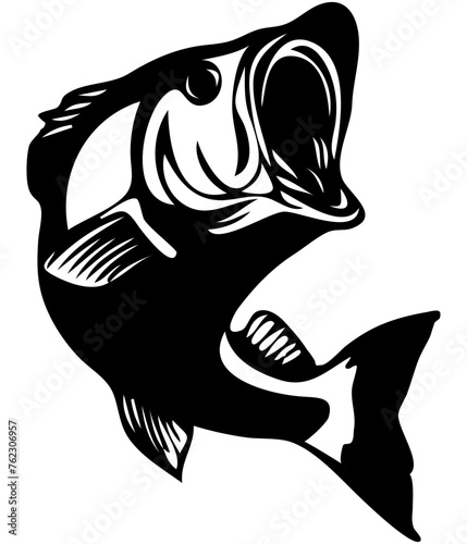 Bass 3