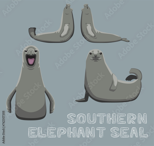 Southern Elephant Seal Cartoon Vector Illustration photo