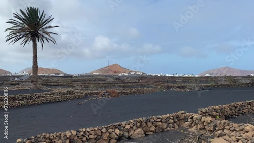 The road along the vineyards on the lava fields near the town of Tinajo, Canary Islands, Spain photo