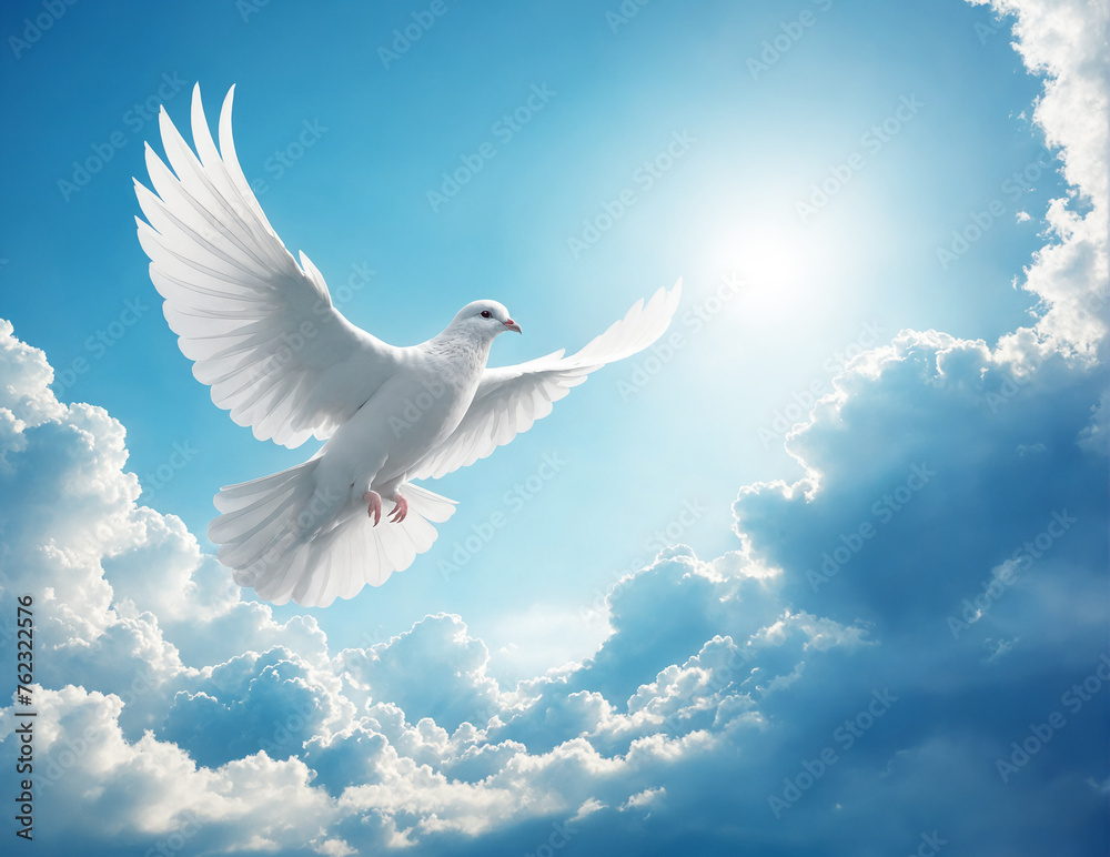 Obraz premium Beautiful White dove flying in the sky with epic clouds