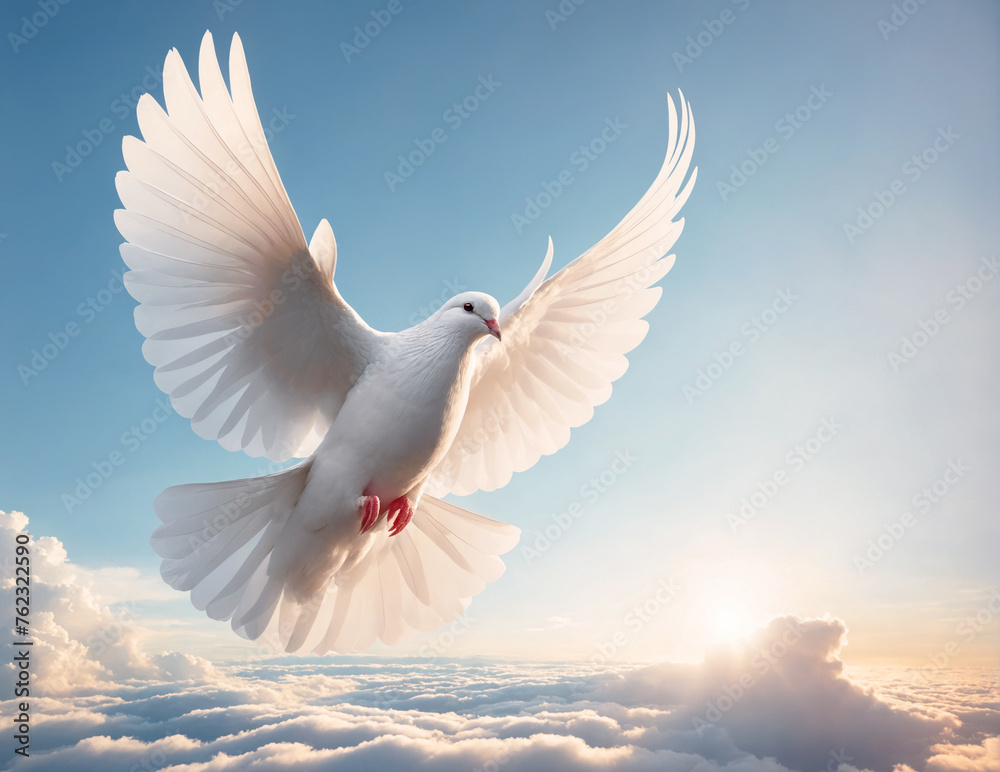 Beautiful White dove flying in the sky with epic clouds