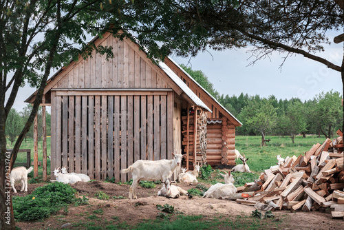 Frame of branches, wooden buildings, village, summer, greenery, goats, no people, cattle breeding, farming.