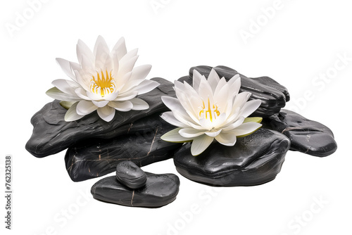 Front view of spa black rocks with two white lotus flowers on a cutout PNG transparent background