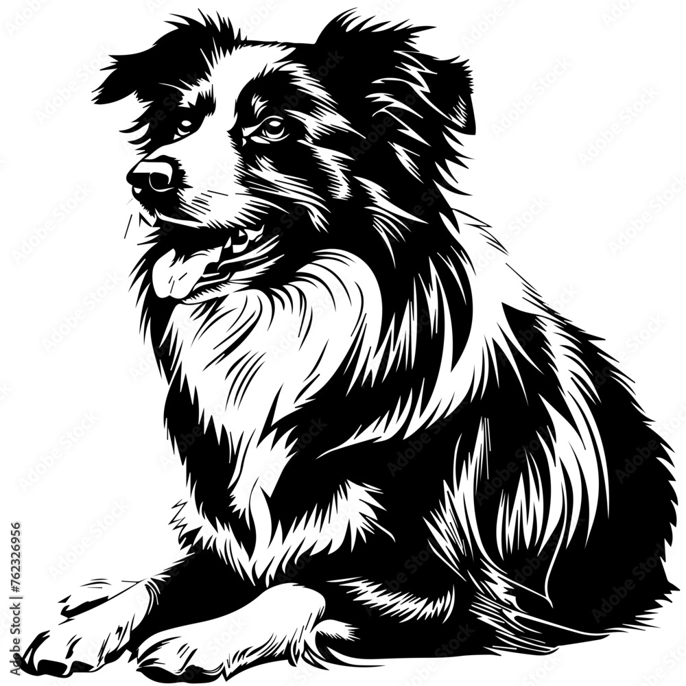 Black Vector Illustration of a Border Collie
Black Vector Illustration of a Border Collie