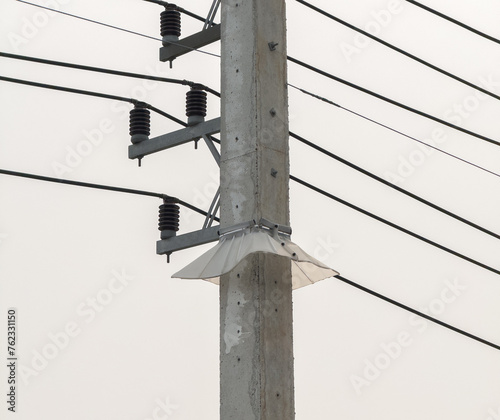 plastic panels are wrapped around electric poles to prevent reptiles and snakes from climbing the poles, damaging the home's electrical distribution system. photo