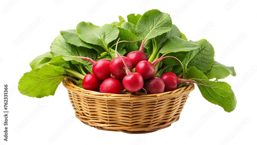 fresh red radish in basket isolated on Transparent background. fresh red radish in basket isolated on Transparent background.
