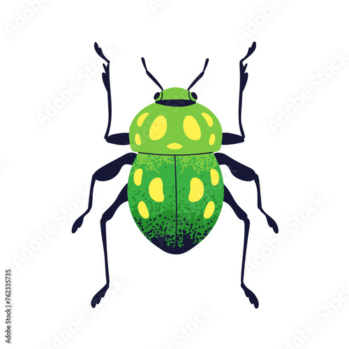 Green beetle. Bug icon, above top view. Fauna species with antenna, legs. Summer animal, wild insect with spotted wings. Flat vector illustration isolated on white background