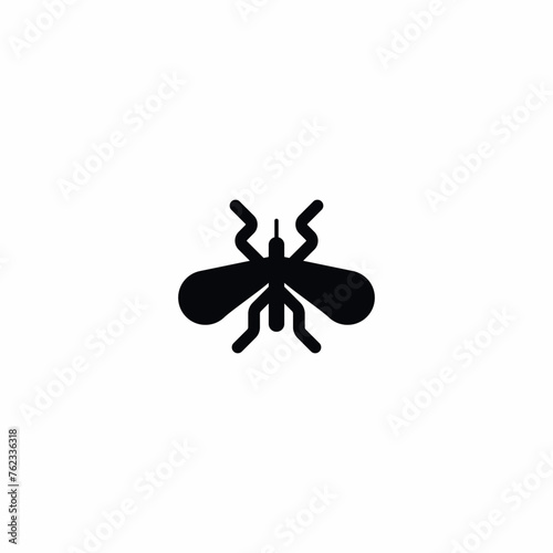 Mosquito Insect Bug icon vector