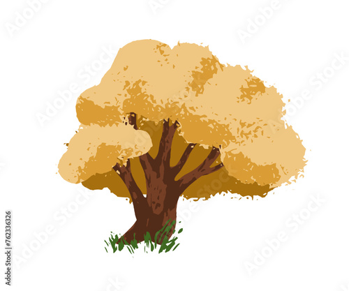 Autumn tree. Forest plant in fall season. Deciduous vegetation, big dense lus...