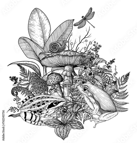 Vector illustration of a frog in the forest in engraving style