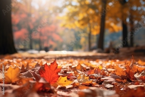 A bunch of leaves laying on the ground. Suitable for nature and autumn themed designs