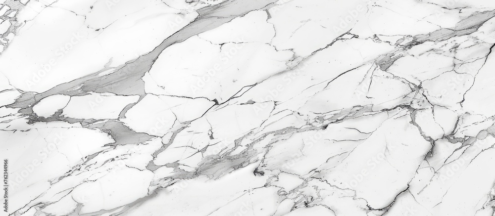 A detailed close up shot of a white marble texture creates a monochrome pattern on a white background, resembling a snowy slope with twiglike veins