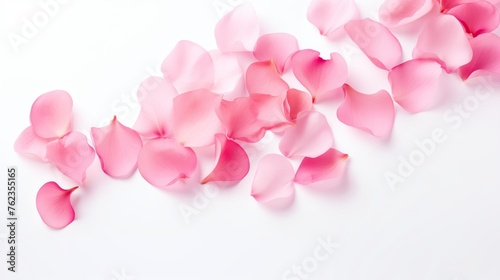 Pink soft flower petals on isolated background
