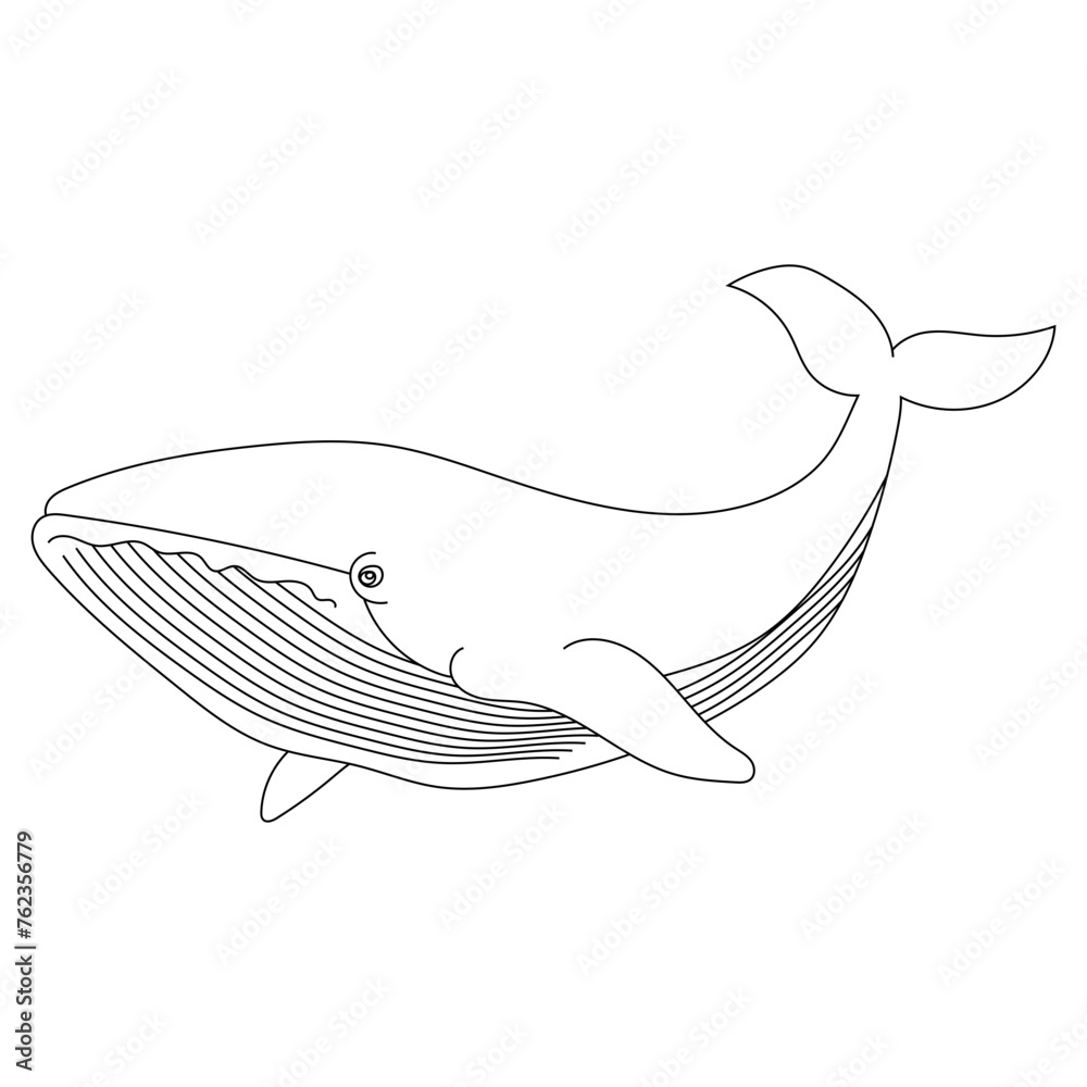 Outline Whale Clipart for Lovers of Sea Animals, Marine Life, and Aquatic Animals Outline Whale Clipart for Lovers of Sea Animals, Marine Life, and Aquatic Animals