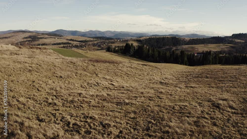 Autumnal Hillside and Carpathian Mountain Range in Aerial View Autumnal Hillside and Carpathian Mountain Range in Aerial View