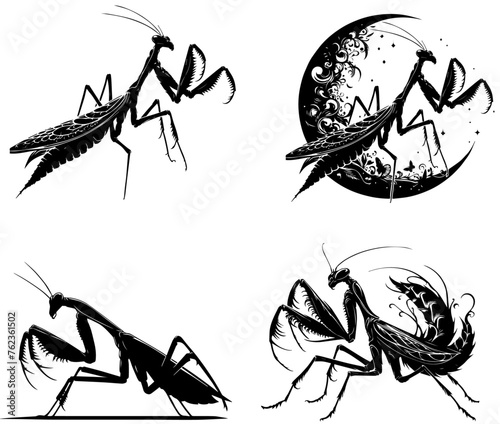  praying mantis silhouette set - pack of 4  praying mantis  photo
