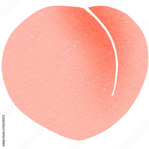 Peach - Hand Drawn Illustration of summer fruit pink sweet