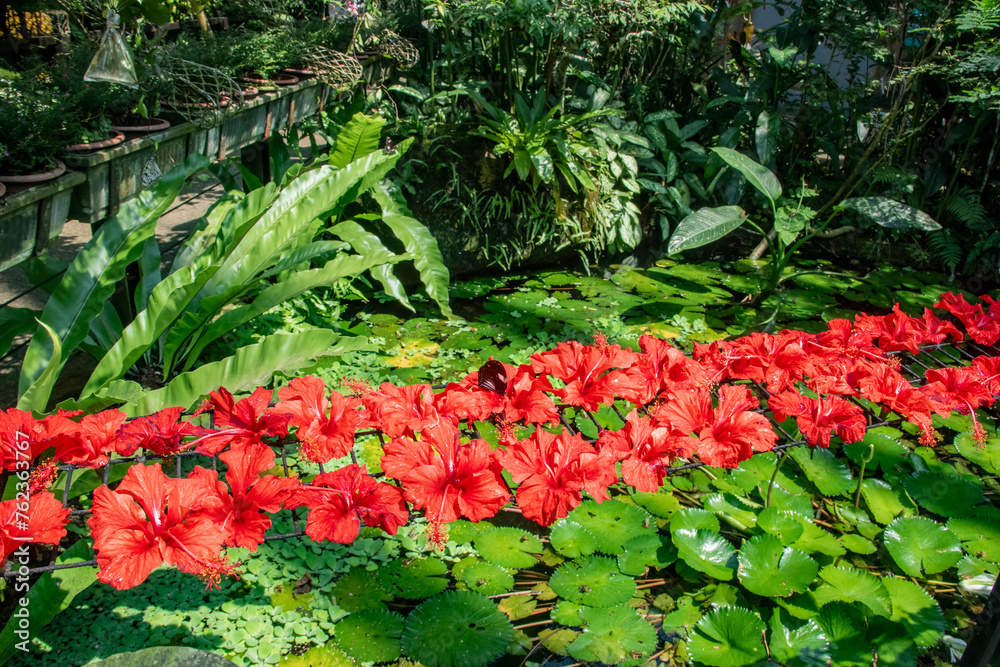 The garden of exhibition hall of Entopia Penang Malaysia, filled with ...